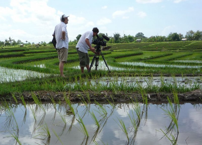 FILM NDB 2015 gotthard schuh rizeva polja