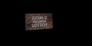 zgodbe_iz_kostanjevih_gozdov_park_pe__no_19.8._17.jpg